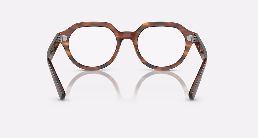 GINA OPTICS