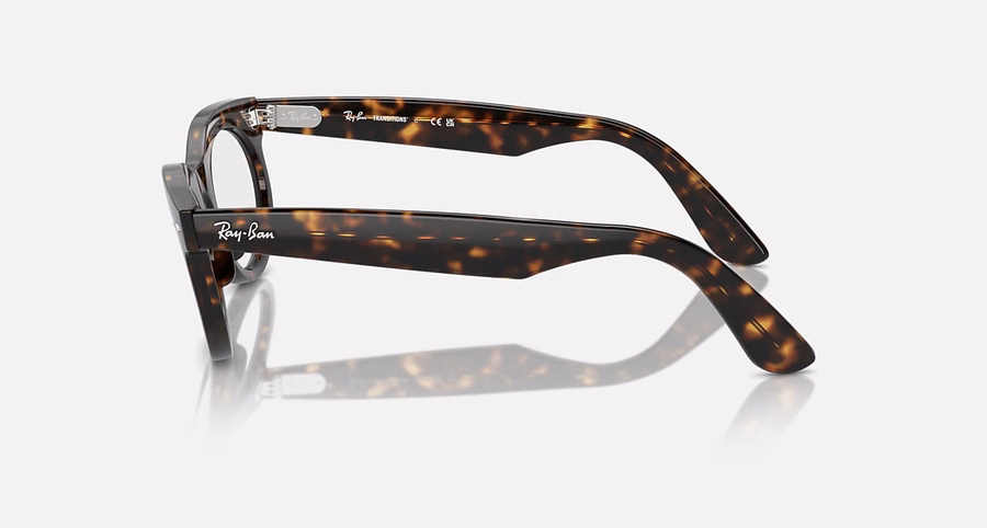 WAYFARER OVAL TRANSITIONSu00ae