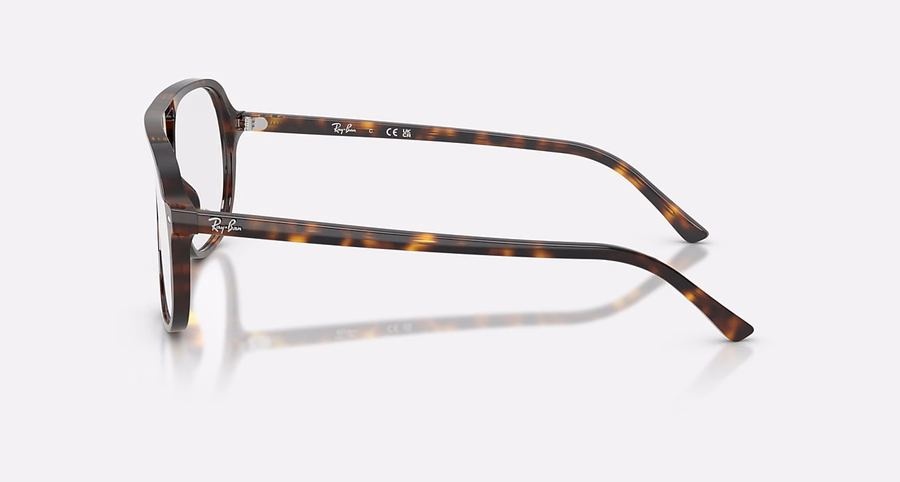 BILL OPTICS